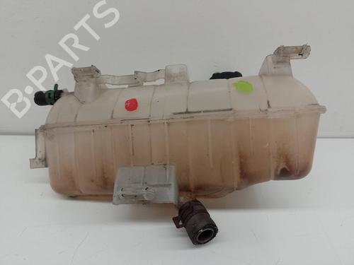 Expansion tank RENAULT KANGOO / GRAND KANGOO II (KW0/1_) 1.5 dCi 85 (KW0K, KW0L, KW0B) (86 hp) 18065019