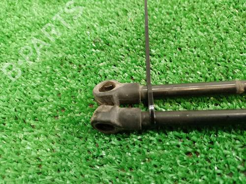 Tailgate lift support PEUGEOT 3008 I MPV (0U_)  | BP17218925C138 