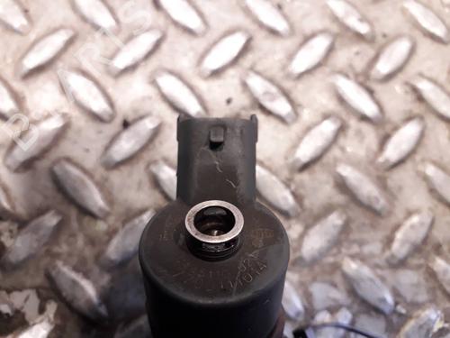 Injector RENAULT SCÉNIC I MPV (JA0/1_, FA0_)  | BP15952717M100 