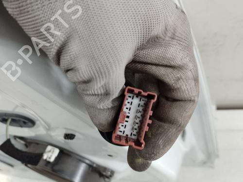 Left rear door DACIA SANDERO II  | BP24104935C4