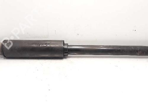 Used Left rear shock absorber FIAT BRAVO II (198_) [2006-2016]  4764682