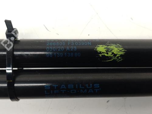 Tailgate lift support CITROËN C4 CACTUS 1.5 BlueHDi 100 | BP31359545C138