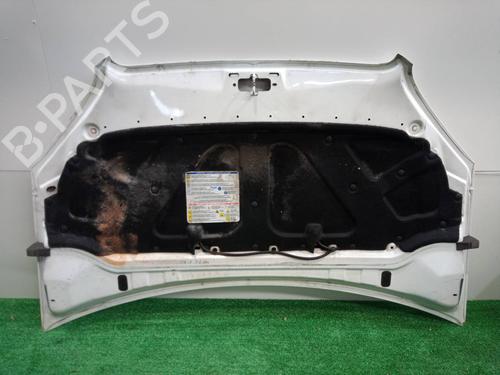 Hood FIAT DOBLO Box Body/MPV (223_) 1.9 JTD | BP17533320C1 