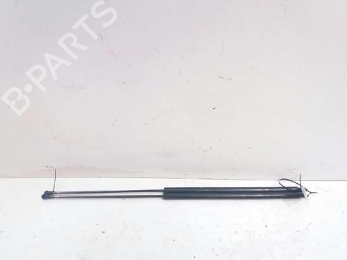 Used Tailgate lift support SEAT TOLEDO III (5P2) [2004-2009]  14230947