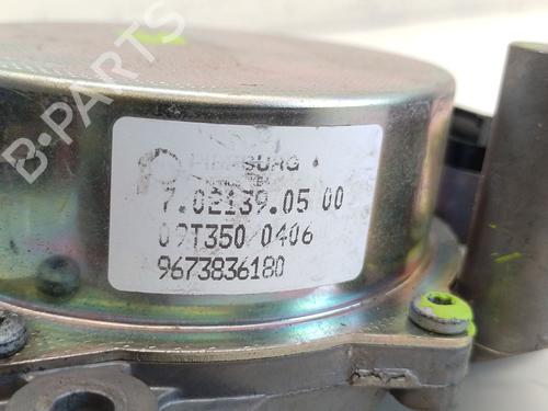 Vacuum pump CITROËN C5 III (RD_) 2.0 HDi 165 (RDRHHA, RDRHH8) | BP29402767M80 