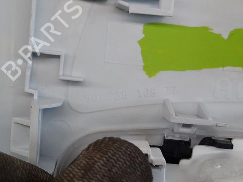 Interior roof light PEUGEOT 2008 II (UD_, US_, UY_, UJ_, UR_, UC_) 1.2 PureTech 130 (USHNS, URHNS) | BP29630016I8 