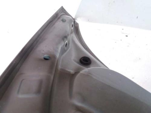 Hood RENAULT GRAND SCÉNIC II (JM0/1_)  | BP3166253C1 