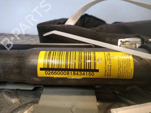 Left curtain airbag NISSAN QASHQAI / QASHQAI +2 I (J10, NJ10, JJ10E)  | BP13075604C11 