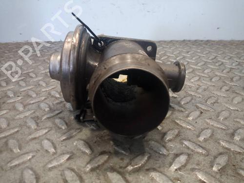 Egr BMW 3 (E46)  | BP13313117M69 