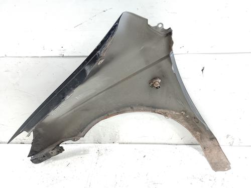 Right front fenders HYUNDAI GETZ (TB)  | BP24106648C42 