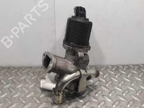 Egr FIAT GRANDE PUNTO (199_) 1.3 D Multijet (199.AXD11, 199.AXD1A, 199.AXD1B,... | BP7274082M69 