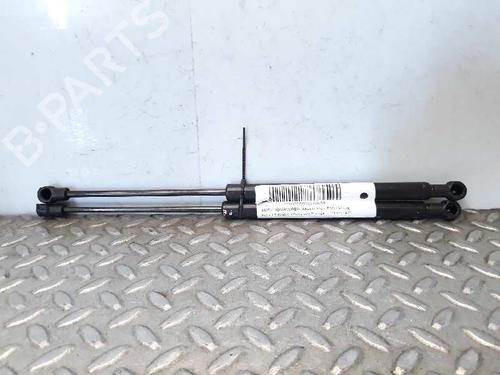 Gassdemper Bakluke RENAULT GRAND SCÉNIC II (JM0/1_) [2004-2009]  14236143