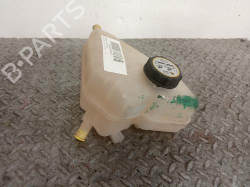 Expansion tank FORD FIESTA VI (CB1, CCN)  | BP10080435C120 