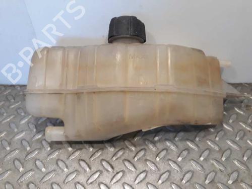 Used Expansion tank RENAULT CLIO III (BR0/1, CR0/1) [2005-2014]  7103075