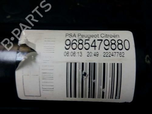 Left rear shock absorber CITROËN C3 II (SC_)  | BP3688818M18 