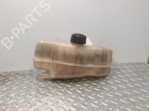 Used Expansion tank RENAULT CLIO III (BR0/1, CR0/1) [2005-2014]  5541903