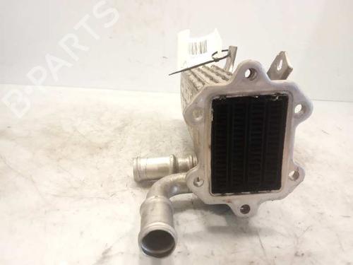 EGR-Ventil SKODA OCTAVIA II (1Z3)  | BP14232889M69 
