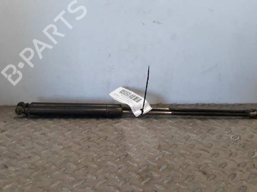 Tailgate lift support LAND ROVER RANGE ROVER III (L322)  BP14235492C138