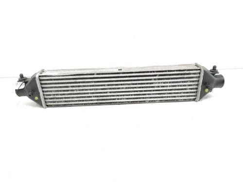 Used Intercooler FIAT DOBLO Cargo (263_) 1.3 D Multijet (90 hp) 18905653