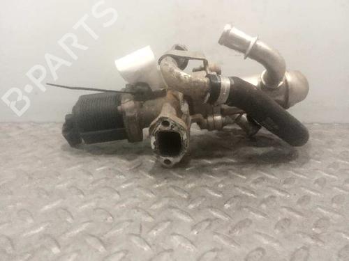 Egr FIAT DOBLO Cargo (263_) | BP6947419M69