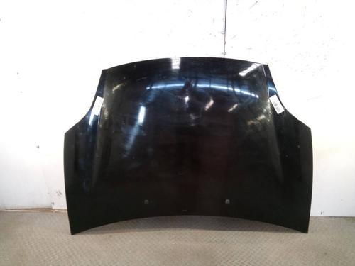 Used Hood FIAT BRAVO II (198_) 1.9 D Multijet (198AXC1B) (150 hp) 12523027