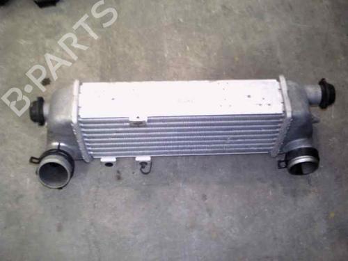 Used Intercooler Intercooler SKODA FABIA I (6Y2) 2.0 (116 hp) 33686770 33686770