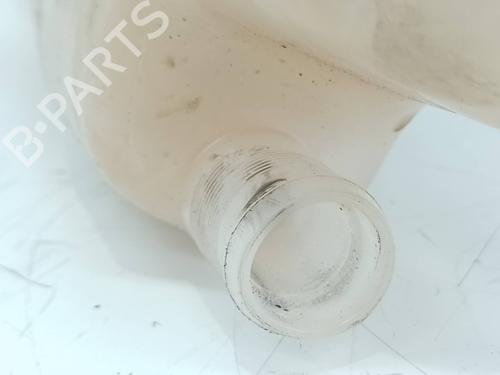 Expansion tank RENAULT CLIO III (BR0/1, CR0/1)  | BP19440618C120 