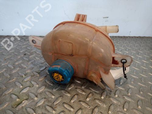 Used Expansion tank CITROËN NEMO Box Body/MPV (AA_) 1.4 HDi (68 hp) 13251355