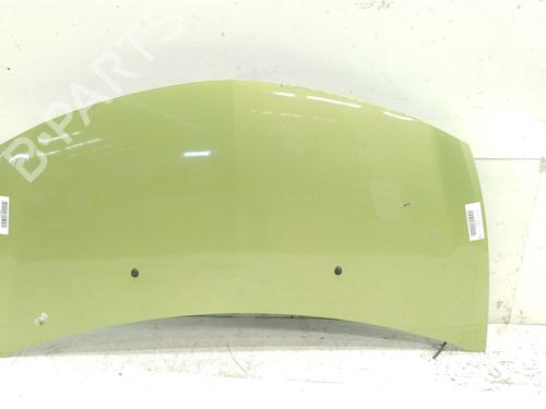 Used Hood RENAULT CLIO III (BR0/1, CR0/1) 1.5 dCi (BR17, CR17) (86 hp) 26175390