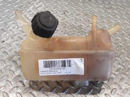 Expansion tank RENAULT MEGANE II Saloon (LM0/1_) 1.9 dCi (LM0G, LM1G, LM2C) (120 hp) 3064077