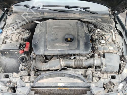 Used Gearbox JAGUAR XF II (X260) 2.0 D (180 hp) 29251918