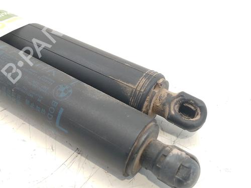 Tailgate lift support BMW X1 (F48) sDrive 18 d | BP25847509C138 