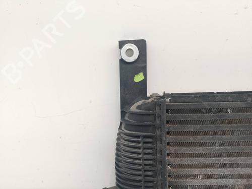 Intercooler NISSAN PATHFINDER III (R51)  | BP19781698M30 