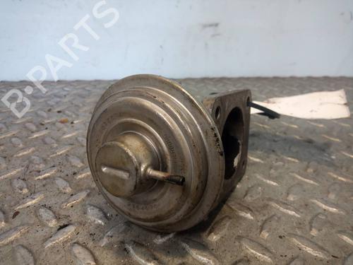 Egr BMW 3 (E46)  | BP13553970M69 