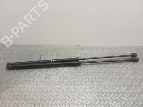 Tailgate lift support OPEL CORSA D (S07)  | BP14237027C138 