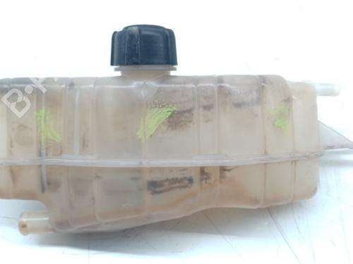 Expansion tank RENAULT CLIO III (BR0/1, CR0/1)  | BP26445997C120 