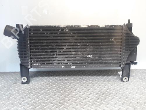 Intercooler NISSAN PATHFINDER III (R51) 2.5 dCi | BP8118003M30 
