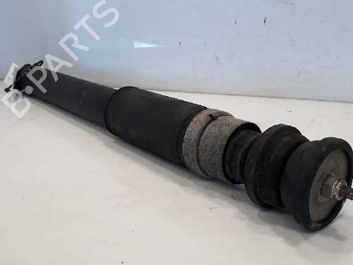 Right rear shock absorber PEUGEOT 406 Coupe (8C)  | BP5181532M19 
