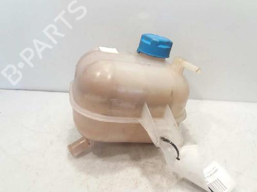 Expansion tank FIAT DOBLO Cargo (263_)  | BP4883887C120 