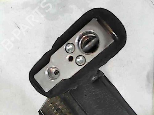 Air conditioning evaporator TOYOTA PRIUS (_W3_)  | BP11671080M109 