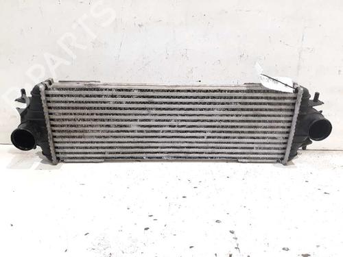 Used Intercooler RENAULT TRAFIC II Van (FL) [2001-2025]  5074364