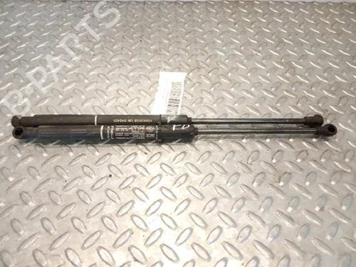 Hood lift support LANCIA THESIS (841_) 2.4 JTD (841AXD1B02) BP14234304C139