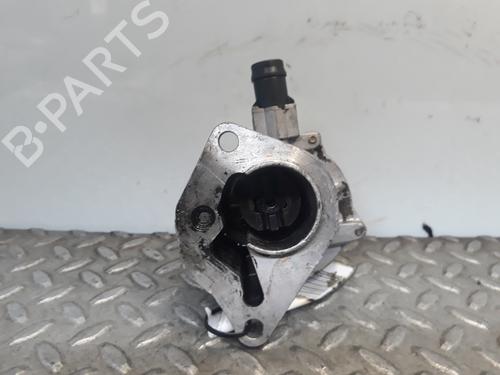 Vacuum pump RENAULT MEGANE II (BM0/1_, CM0/1_)  | BP3073979M80 