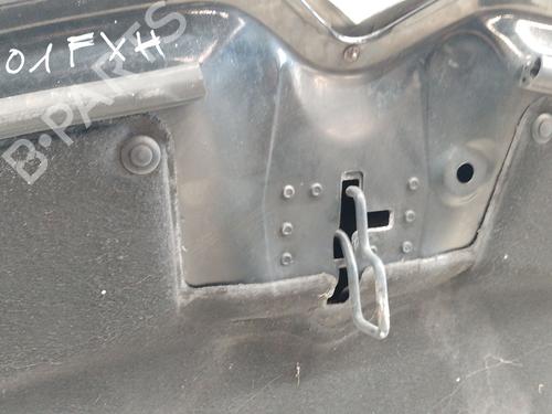 Hood CITROËN C4 Picasso I MPV (UD_) 2.0 HDi 138 | BP29210753C1 