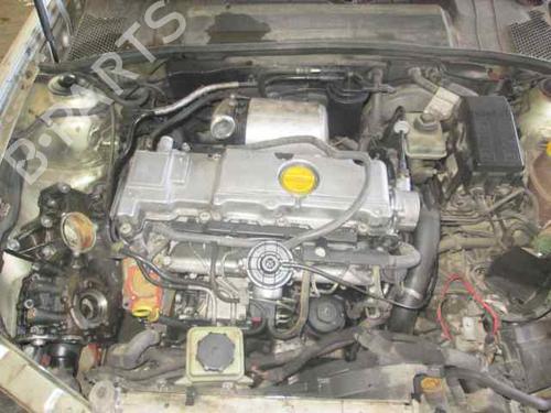 Left front shock absorber OPEL VECTRA B (J96) 2.0 DTI 16V (F19) | BP3043437M16 