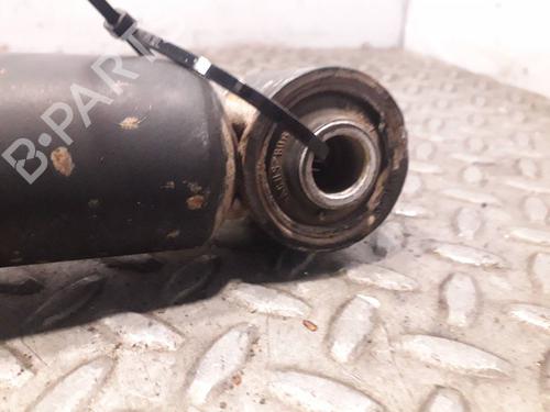 Right rear shock absorber BMW X5 (E53) 3.0 d | BP15834174M19 
