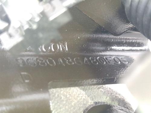 Hinge/Door check strap PEUGEOT PARTNER Box Body/MPV  | BP25914641C146 