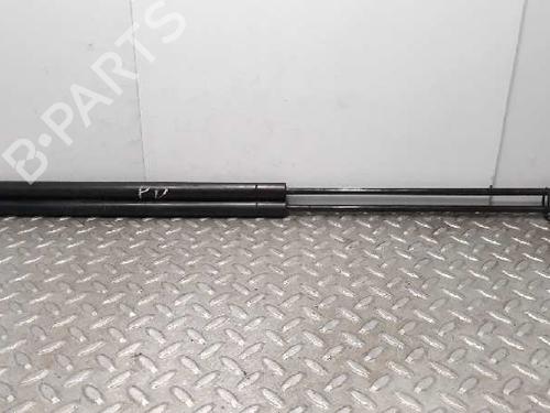 Used Hood lift support MERCEDES-BENZ E-CLASS (W211) [2002-2009]  14235617