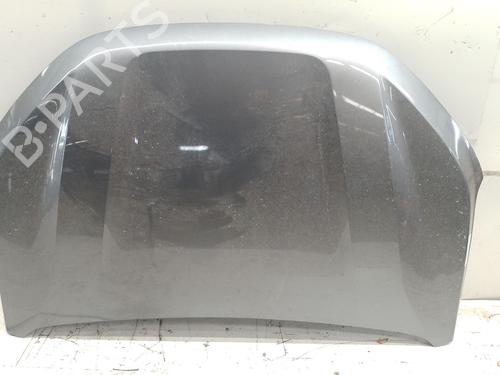Used Hood Hood DACIA SANDERO III 1.0 TCe 90 (91 hp) 33127716 33127716