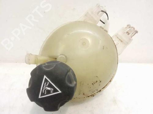Used Expansion tank PEUGEOT 207 (WA_, WC_) 1.6 HDi (92 hp) 12560015